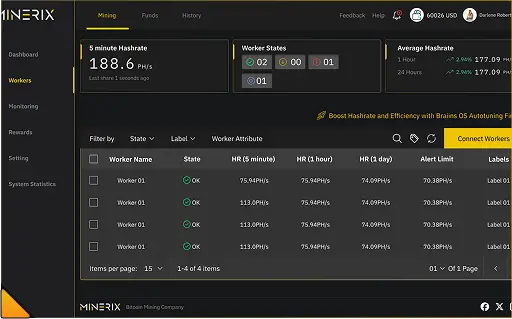 Minerix dashboard workers